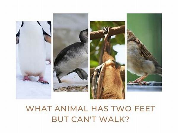 Which Animal Can Run but Not Walk?