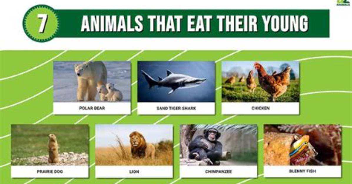 Which Animals Eat Their Own Parents?