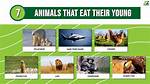 Which Animals Eat Their Own Parents?