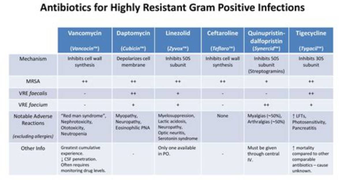 Which Antibiotic Is Best for Gram Positive Cocci?