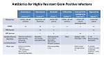 Which Antibiotic Is Best for Gram Positive Cocci?