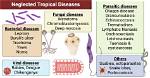 Which Are the Neglected Tropical Diseases?