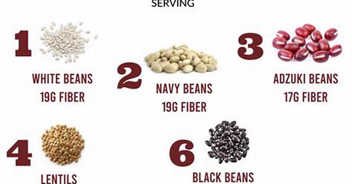 Which Bean Has the Most Fiber?