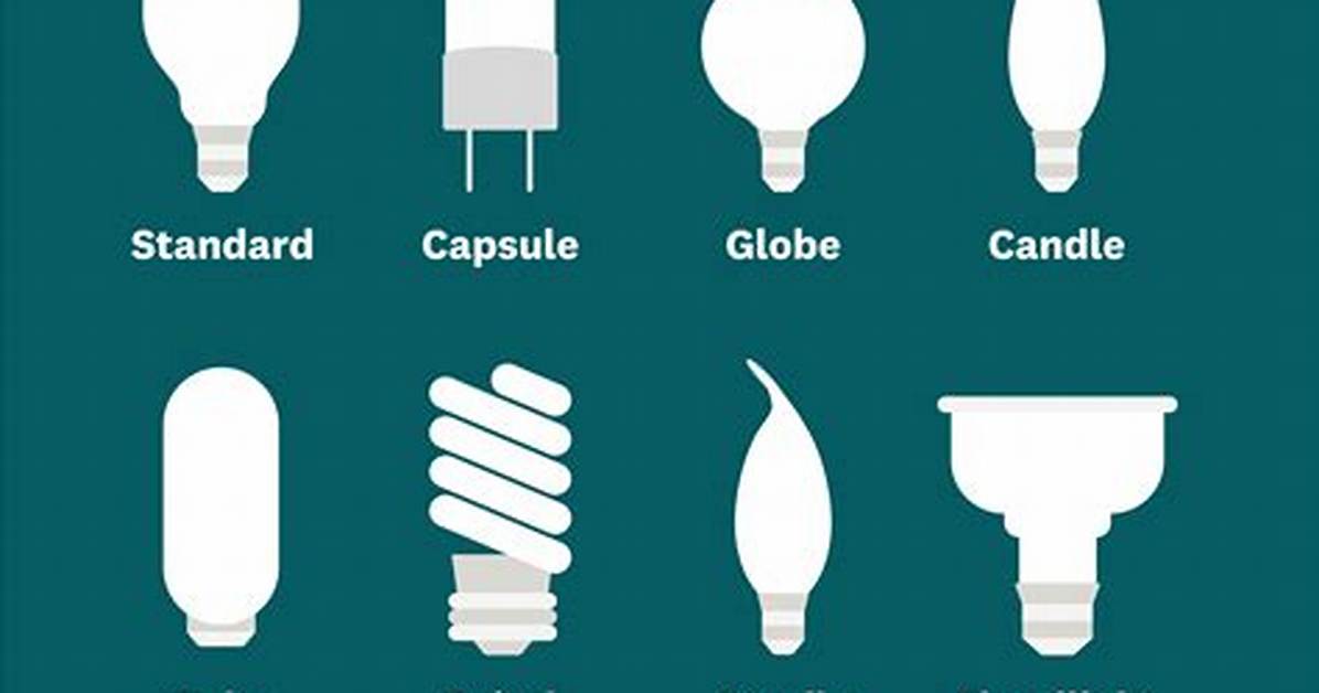 Which Bulb For