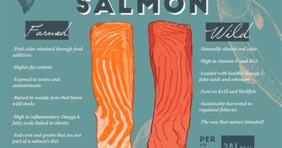 Which Canned Salmon Is Not Farmed?