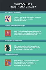 Which Causes Myasthenia Gravis?
