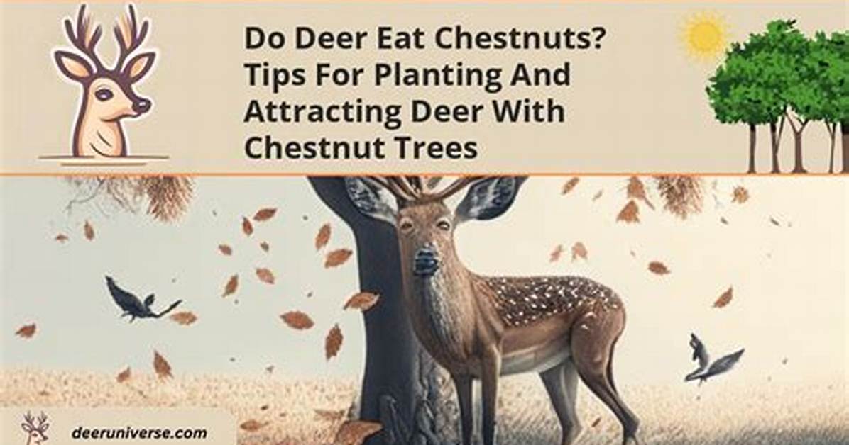 Which Chestnuts Do Deer Prefer?