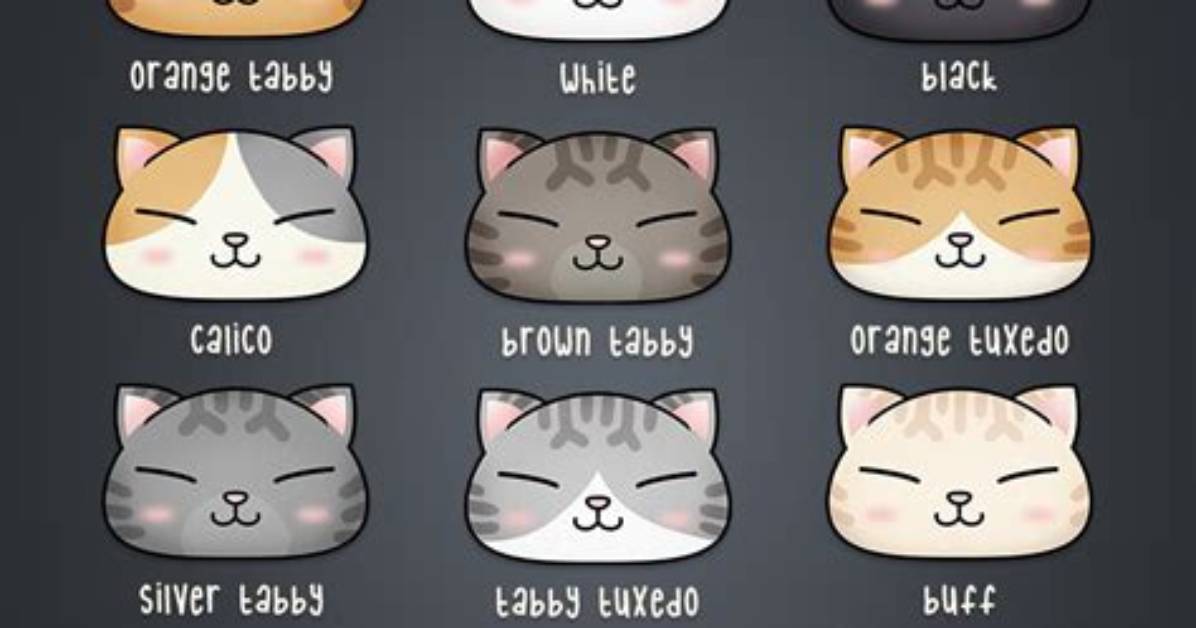 Which Color Cat Is the Best?