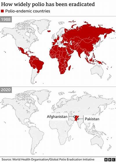 Which Disease Is Completely Eradicated from World?