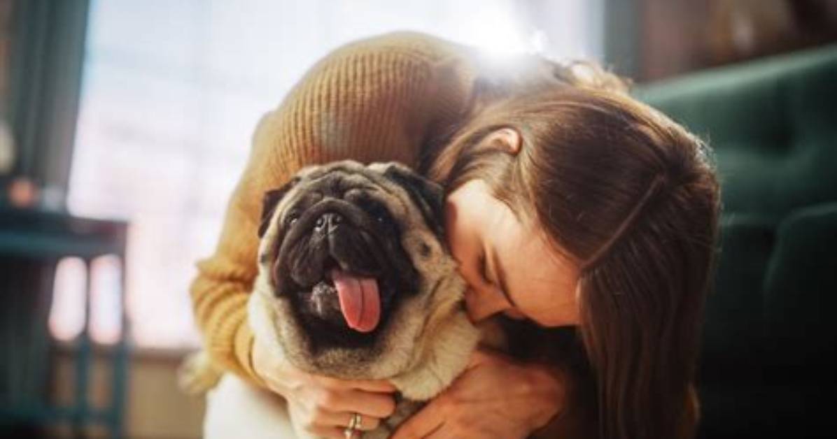 Which Dog Breeds Love Their Owners the Most?