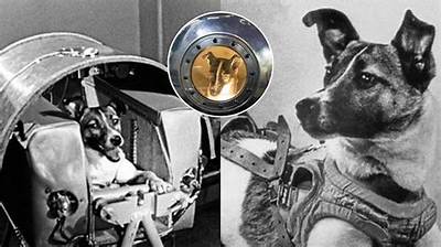Which Dog Went to Space First?