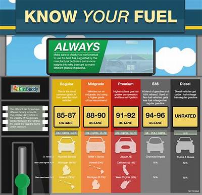Which Fuel Type Car Is Best?