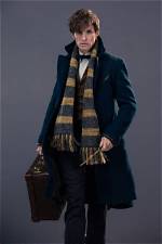 Which House Is Newt Scamander in? Celebrity. Fm #1 Official Stars, Business & People Network,