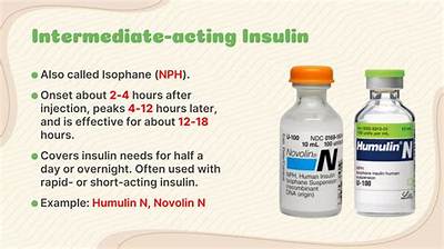 Which Insulin Is Intermediate Acting?