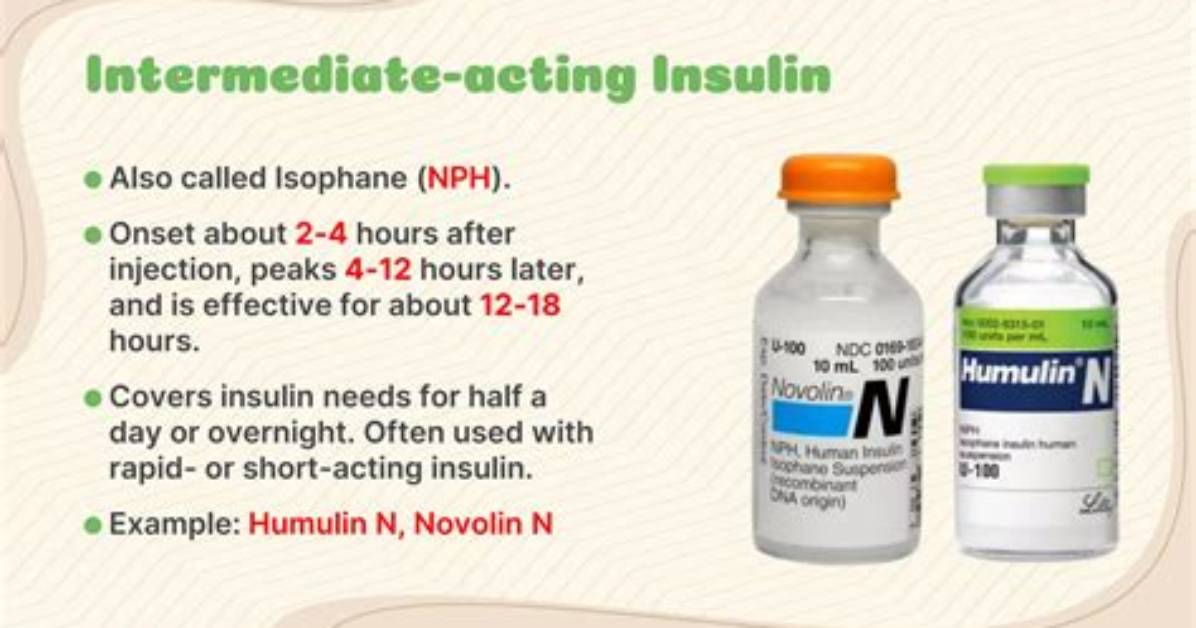 Which Insulin Is Intermediate
