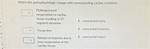 Which Is a Pathophysiologic Change That Is Consistent with Alzheimer Disease?