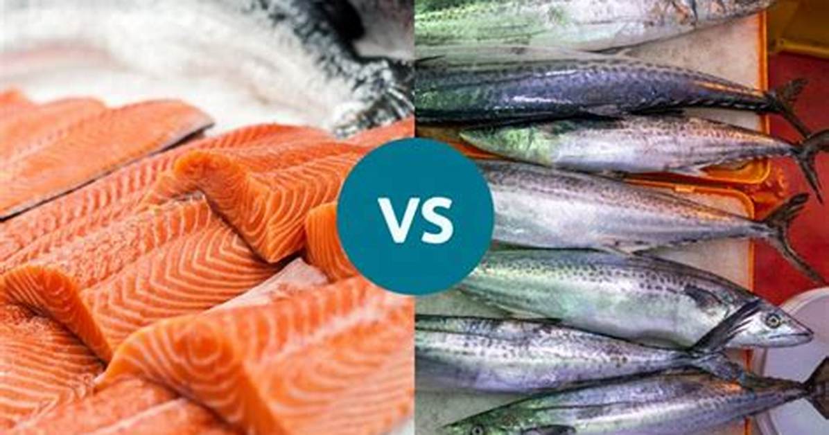 Which Is Better Mackerel or Salmon?