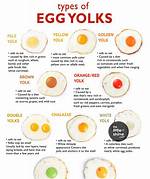 Which Is Better Yolks or White?