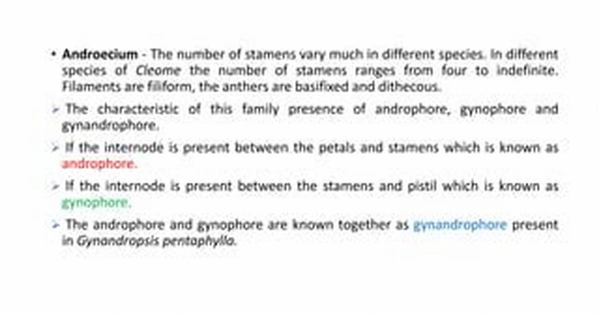 Which Is Characteristic Feature of Androecium of Pisum Sativum?