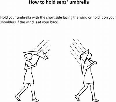 Which Is Correct an Umbrella or a Umbrella?