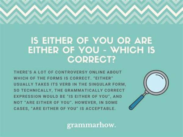 Which Is Correct Does Either of You or Do Either of You?