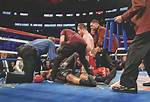 Which Is Safer Mma or Boxing?