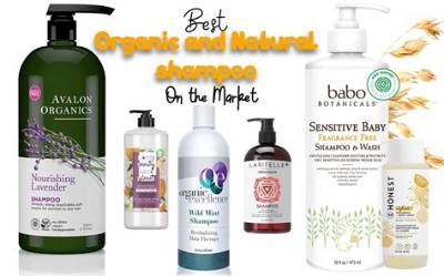 Which Is the Best Organic Shampoo in India?