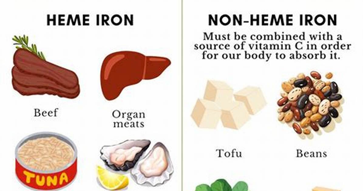 Which Is the Best Source of Heme
