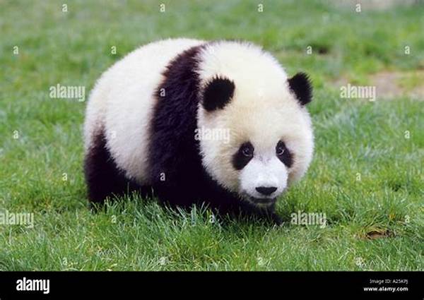 Which Is the National Animal of China?
