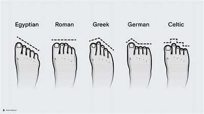 Which Is the Rarest Foot Shape?