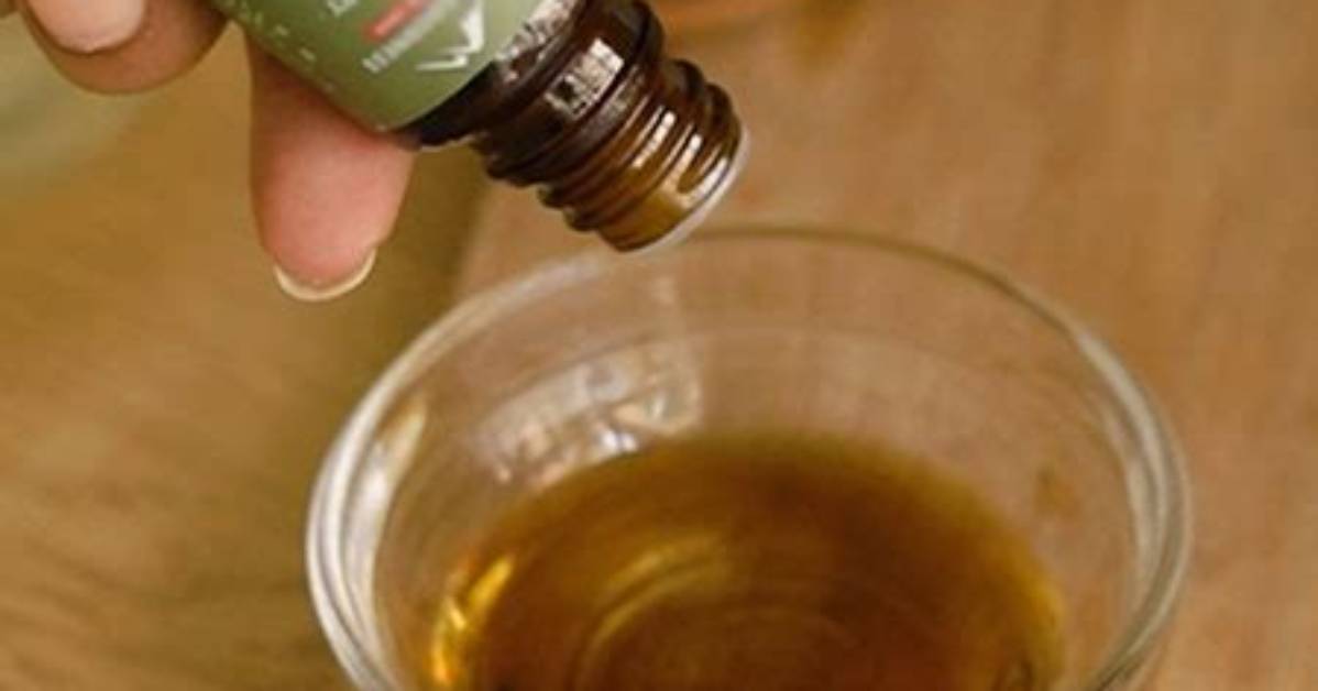 Which Oil Is Best to Regrow Hair?