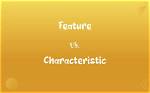 Which One Is the Characteristic Feature of Amitosis?