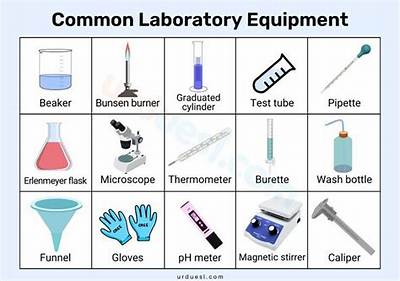 Which Piece of Lab Equipment Is Used for Safety?