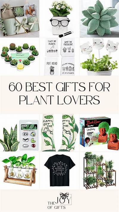 Which Plant Is Best to Gift?