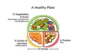 Which Plate Is Good for Health?