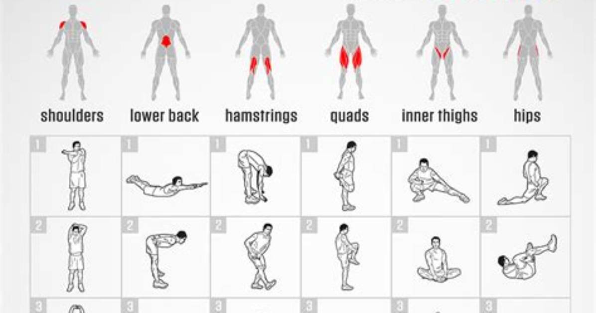 Which Stretching Exercises Is the Best?