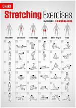 Which Stretching Exercises Is the Best?