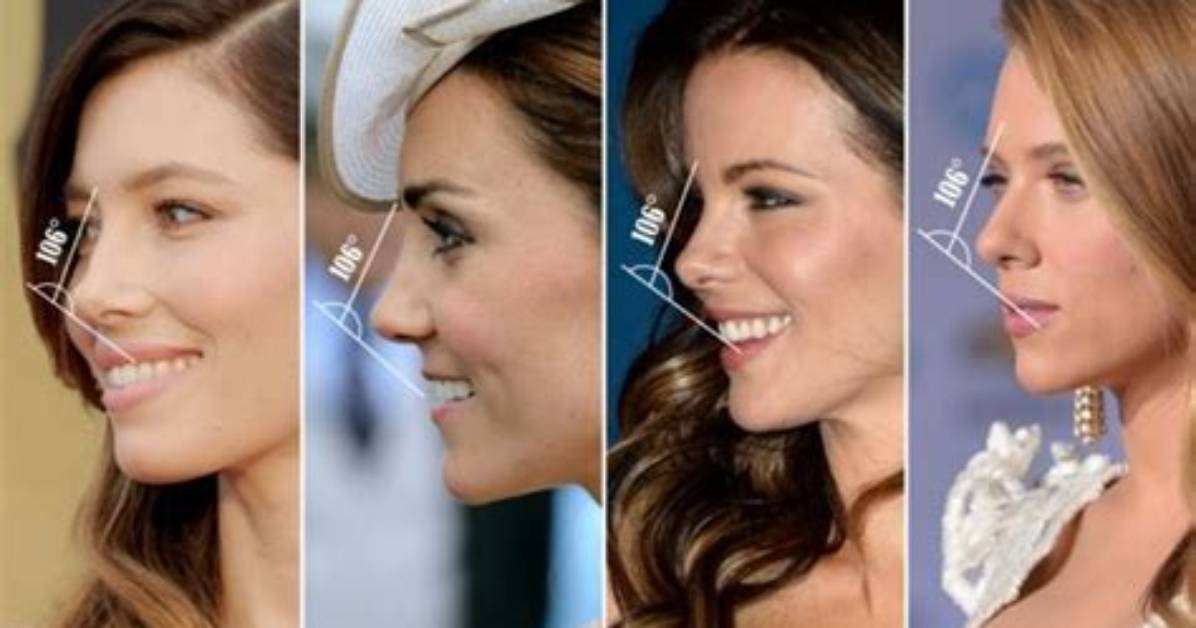 Which Type of Nose Is Most Attractive?