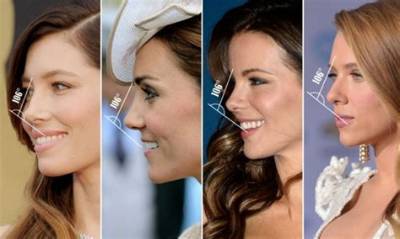 Which Type of Nose Is Most Attractive?