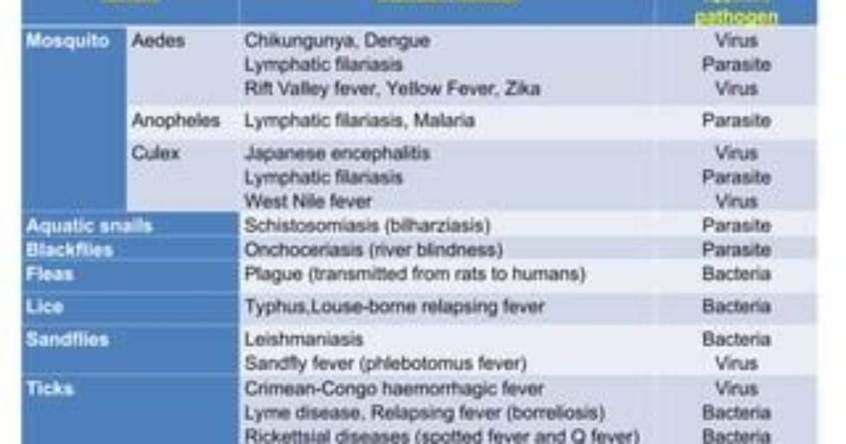 Which Vector Spreads Bilharziasis?