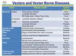 Which Vector Spreads Bilharziasis?