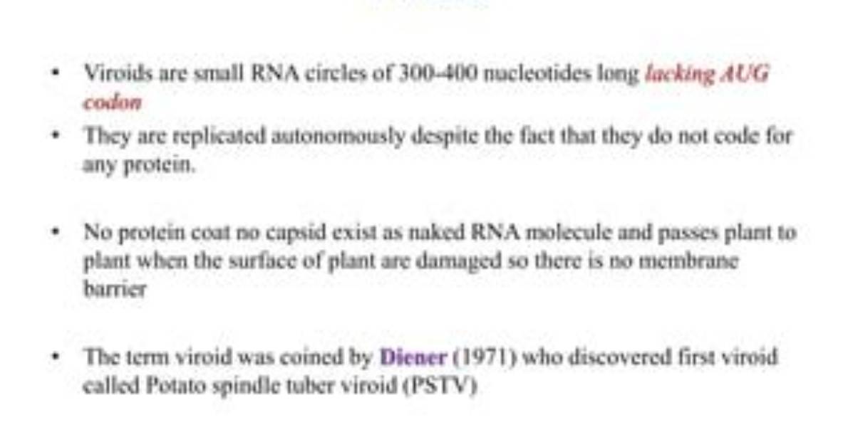 Who Coined the Term Viroid?