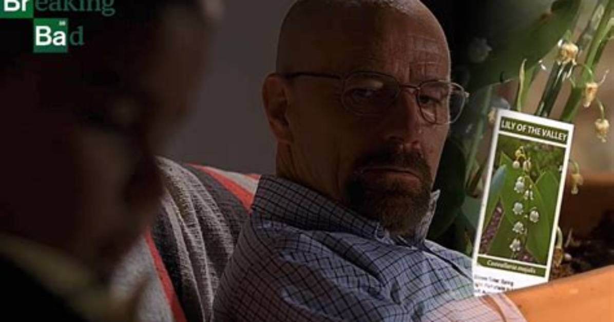 Who Did Walter White Poison? Unraveling the Mystery Behind Breaking Bad’s Most Iconic Plot Twist