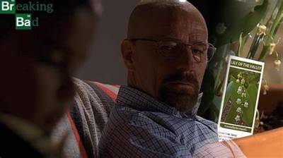 Who Did Walter White Poison? Unraveling the Mystery Behind Breaking Bad’s Most Iconic Plot Twist