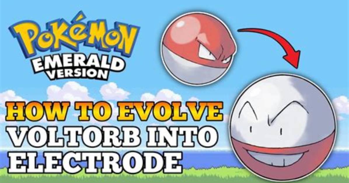 Who Does Electrode Evolve into?