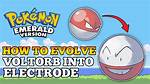 Who Does Electrode Evolve into?