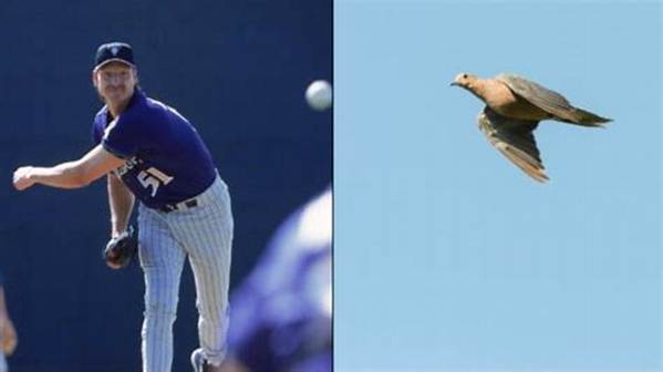 Who Hit the Bird with the Baseball?
