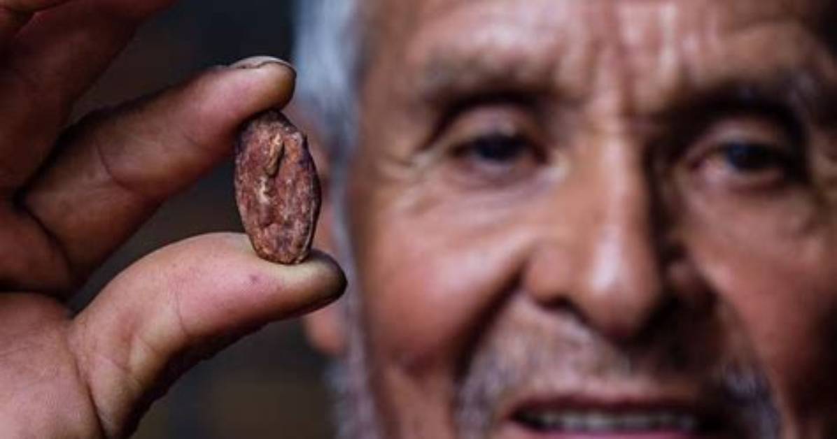 Who Invented the Chocolate Coin?