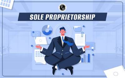 Who Is a Sole Proprietor in a Llc?