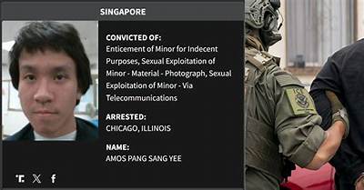 Who Is Amos Yee?